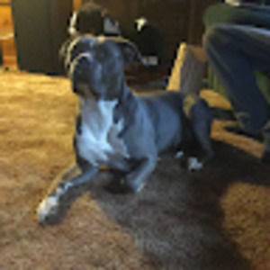 Meet your Posher, Tracy